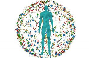 人体微生物