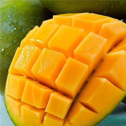 伊的家伊匠精选口碑好物专场插图(4) 伊的家伊匠精选口碑好物专场插图(4)