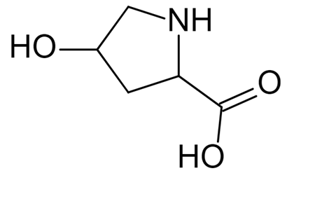 羟脯氨酸概念 伊的家