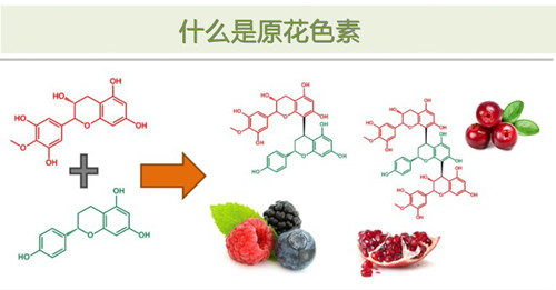 原花青素概念 伊的家