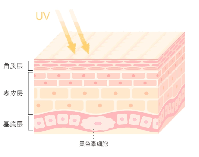 伊的家祛斑产品有没有美白功效插图