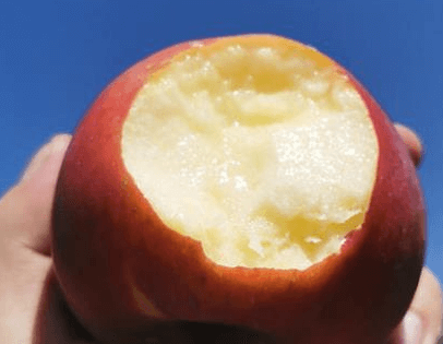 苹果酸是什么？对皮肤有什么作用