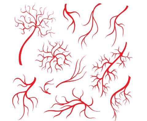 毛细血管扩张的表现有哪些插图