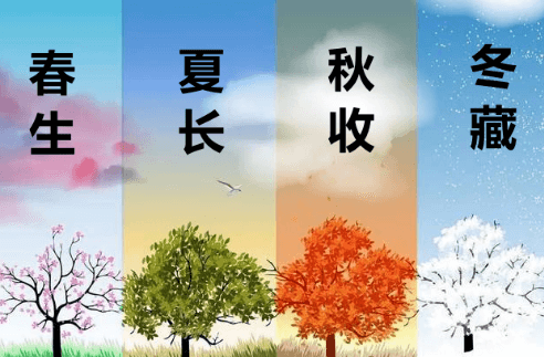 为什么冬季的保养核心一定是“滋养”插图