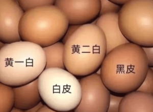 怎么判断自己的肤色属于黄一白还是黄二白 - 伊的家