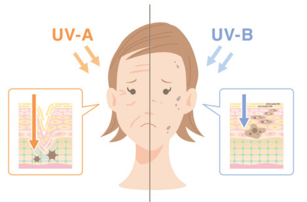二氧化钛防晒原理是什么