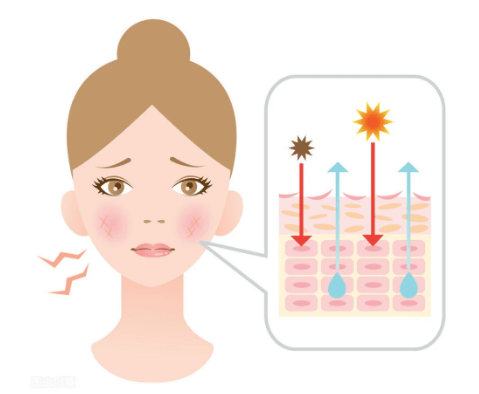 怎样修复角质层比较薄的皮肤插图