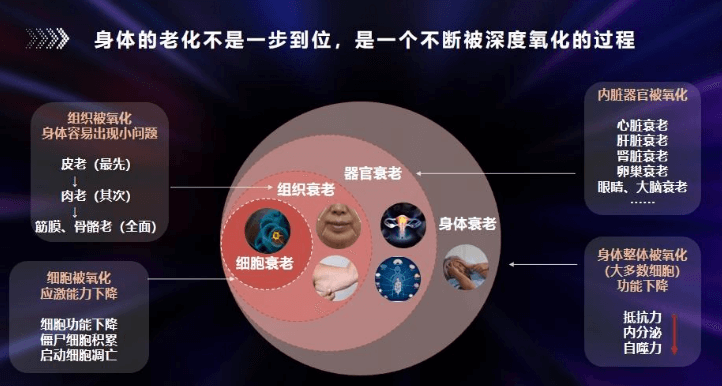 衰老分为几个层级,你知道吗?插图(1) 衰老分为几个层级,你知道吗?插图(1)