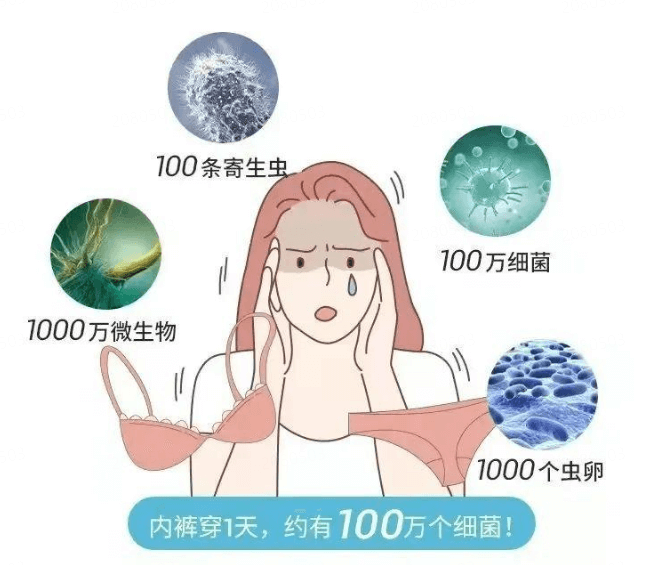 免疫力低下，妇科炎症反复发作?插图