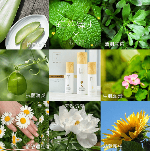 春季护肤指南，如何让肌肤在春天焕发光彩