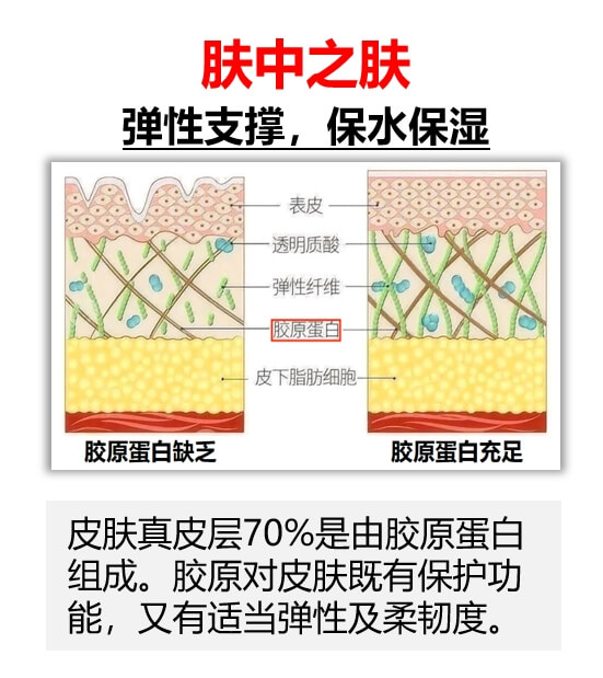 胶原蛋白对皮肤有多重要?插图(1) 胶原蛋白对皮肤有多重要?插图(1)
