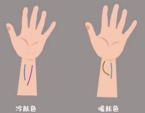 如何分辨冷白皮和暖白皮和黄黑皮