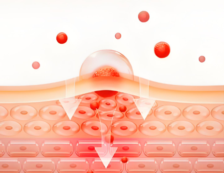 解码皮肤微生态：平衡菌群为何成为护肤新前沿插图