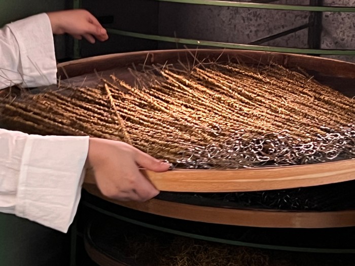 一株石斛的三年远征，与一场看得见的品质探寻插图(2)