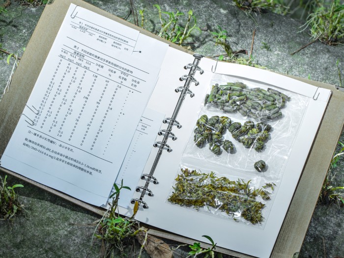 溯源美丽中国行安徽站：伊的家如何成就高品质产品插图(2)