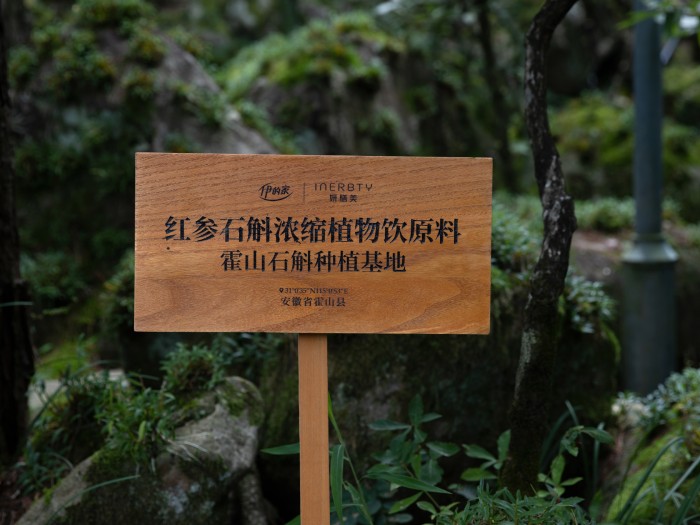 溯源美丽中国行安徽站：伊的家如何成就高品质产品插图(3)