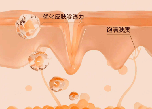 皮肤修复 ：从屏障到新生，科学重筑健康肌底插图