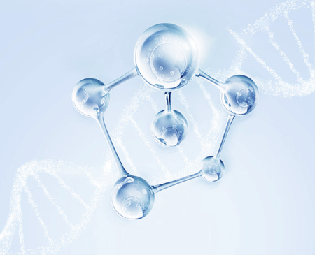 细胞外基质(ECM):皮肤的“蜂窝网络” 细胞外基质(ECM):皮肤的“蜂窝网络”