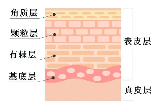 皮肤屏障受损的“求救信号”，你读懂了几个?