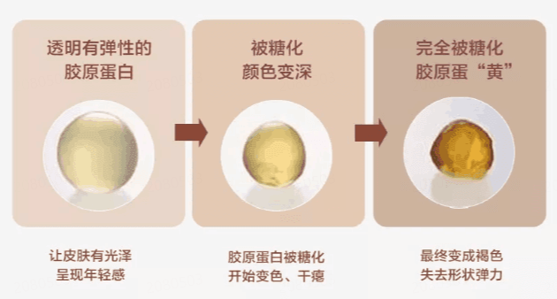 如何从根源延缓肌肤老化，留住年轻质感插图