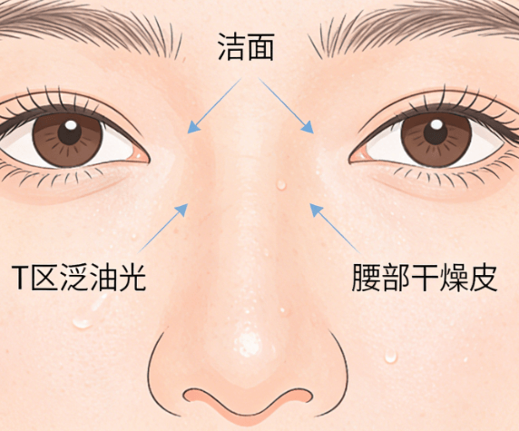 内调改善水油失衡|从根源告别外油内干、毛孔粗大 内调改善水油失衡|从根源告别外油内干、毛孔粗大